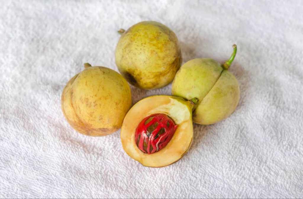 Myristica-fragrans-pala-Banda